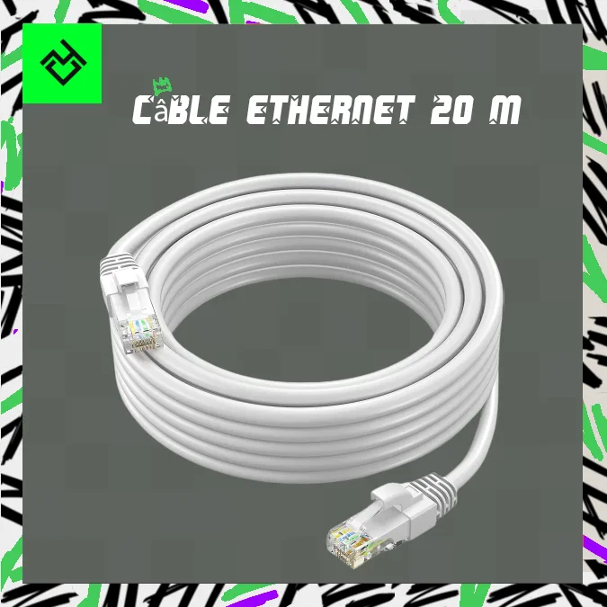 Câble Ethernet 20 M