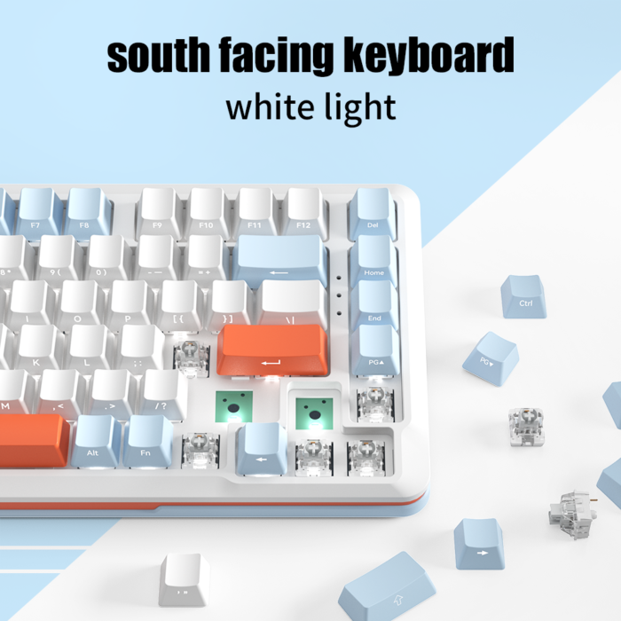 S82 Wired Swappable 3pin Switch keyboard Mechanical 75% Gasket LED Backlit Gaming Mechanical Keyboard 82 Keys Outemu Silver Single Light (salamon) – Image 5