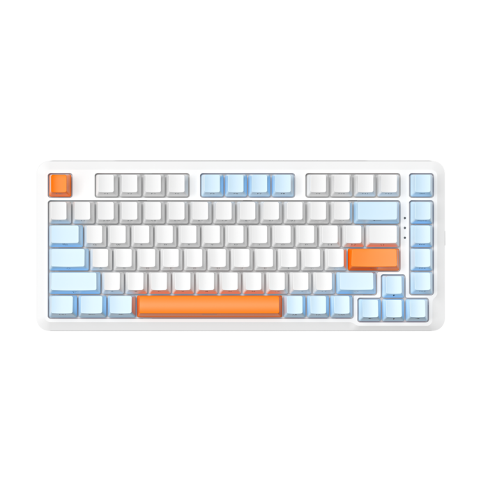 S82 Wired Swappable 3pin Switch keyboard Mechanical 75% Gasket LED Backlit Gaming Mechanical Keyboard 82 Keys Outemu Silver Single Light (salamon)