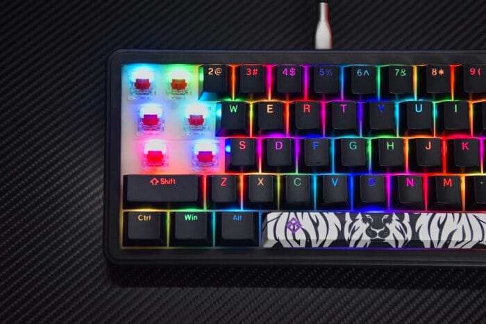 Golden Lion GM68 65% Hot-Swappable 3-Pin Switch Mechanical Keyboard Full RGB Lighting USB-C VIA Interface Red/Silver Switches Compact Gaming Keyboard – Image 13