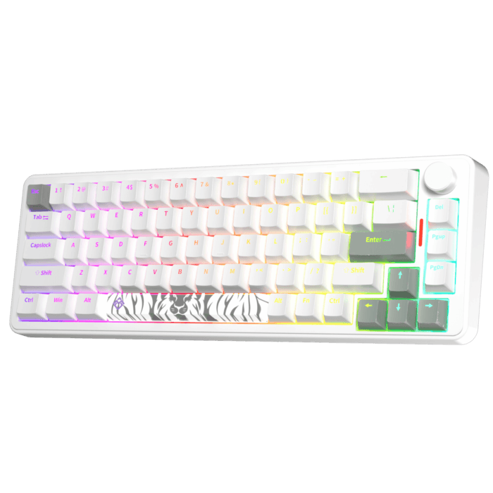 Golden Lion GM68 65% Hot-Swappable 3-Pin Switch Mechanical Keyboard Full RGB Lighting USB-C VIA Interface Red/Silver Switches Compact Gaming Keyboard (white) – Image 2