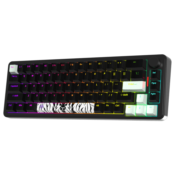 Golden Lion GM68 65% Hot-Swappable 3-Pin Switch Mechanical Keyboard Full RGB Lighting USB-C VIA Interface Red/Silver Switches Compact Gaming Keyboard – Image 2