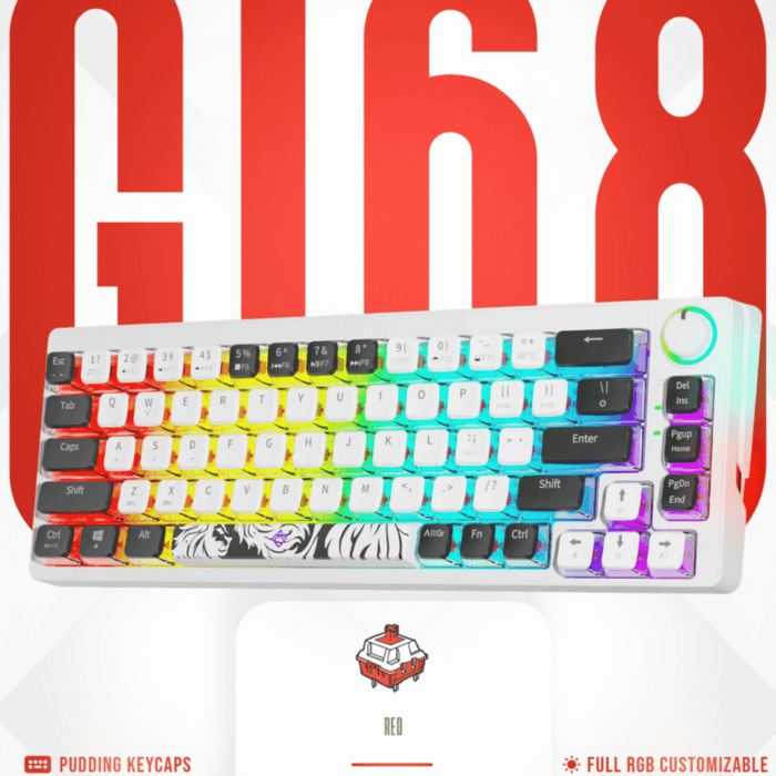 Golden Lion GI68 65% Hot-Swappable Mechanical Keyboard - Full RGB Lighting, USB-C, Red Outemu Switches, Compact Gaming Keyboard