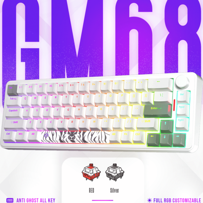 Golden Lion GM68 65% Hot-Swappable 3-Pin Switch Mechanical Keyboard Full RGB Lighting USB-C VIA Interface Red/Silver Switches Compact Gaming Keyboard (white)