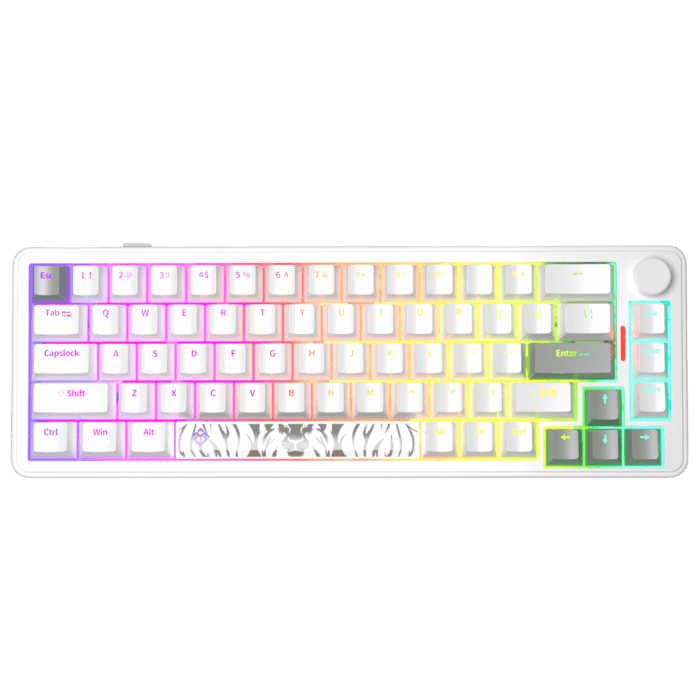 Golden Lion GM68 65% Hot-Swappable 3-Pin Switch Mechanical Keyboard Full RGB Lighting USB-C VIA Interface Red/Silver Switches Compact Gaming Keyboard (white) – Image 3