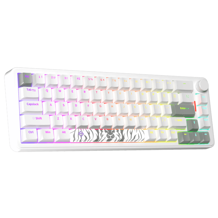 Golden Lion GM68 65% Hot-Swappable 3-Pin Switch Mechanical Keyboard Full RGB Lighting USB-C VIA Interface Red/Silver Switches Compact Gaming Keyboard (white) – Image 4